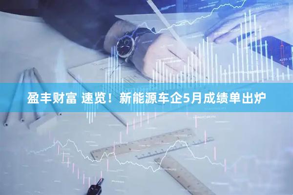 盈丰财富 速览！新能源车企5月成绩单出炉