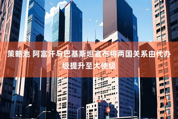 策略池 阿富汗与巴基斯坦宣布将两国关系由代办级提升至大使级