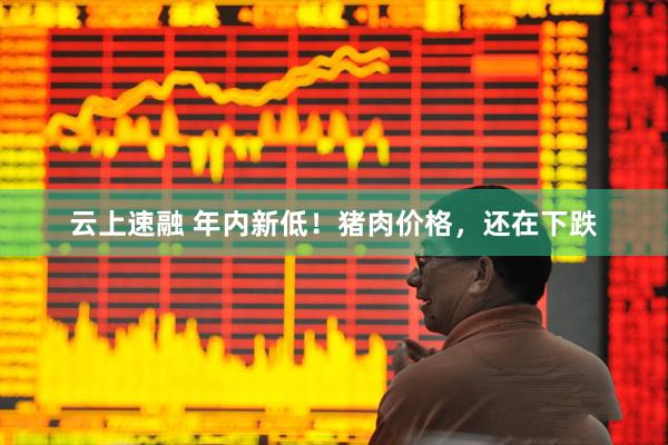 云上速融 年内新低！猪肉价格，还在下跌