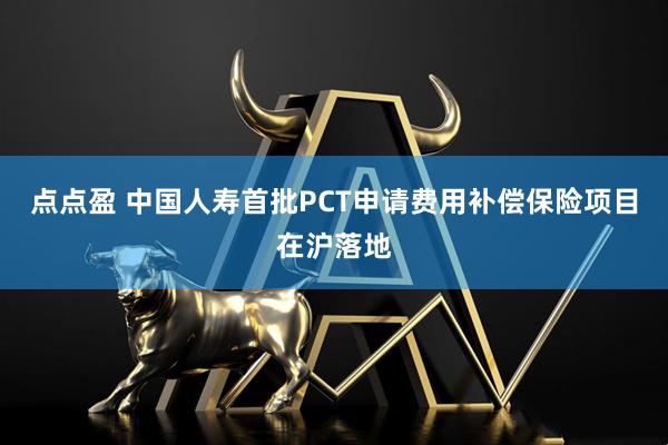 点点盈 中国人寿首批PCT申请费用补偿保险项目在沪落地